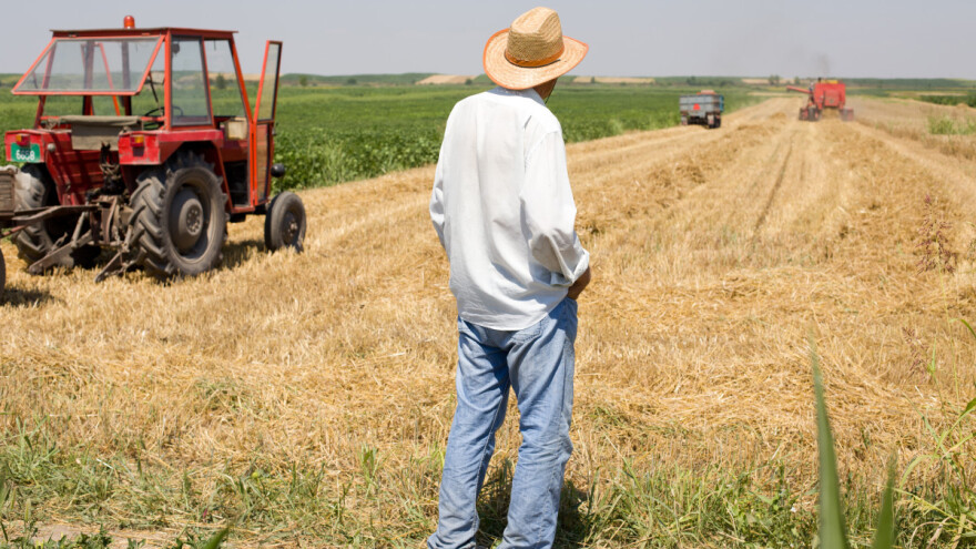 Toplinski val donosi sušu i oluje