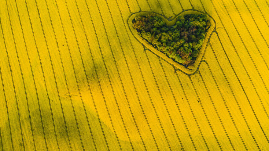 Hoćeš li se udati za mene, Jana? Zaprosio djevojku porukom u polju