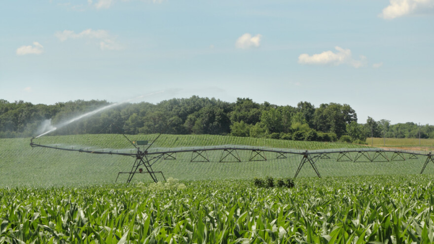 Modernizacija sustava za navodnjavanje je neophodna