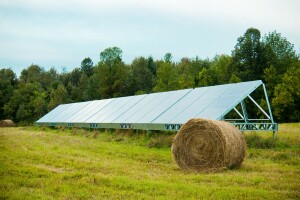 Zelena energija iz poljoprivrede da, ali ne na štetu proizvodnje hrane