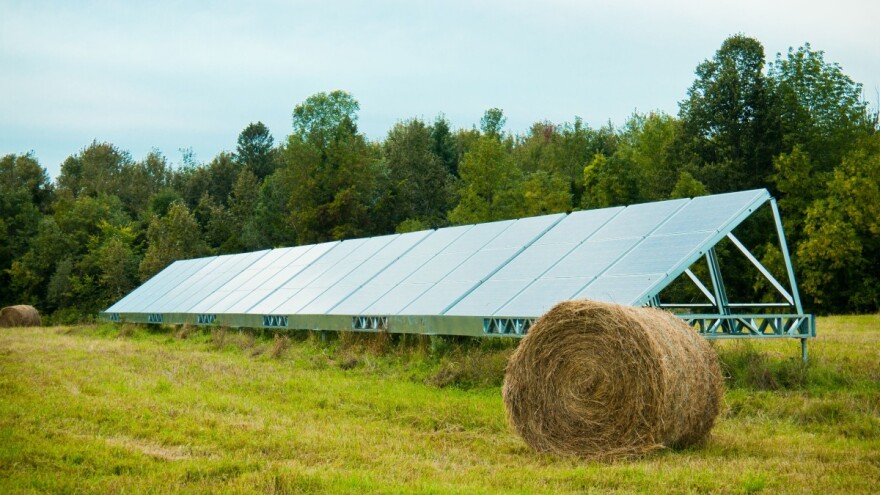 Zelena energija iz poljoprivrede da, ali ne na štetu proizvodnje hrane
