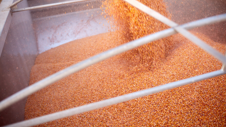 I dalje pod pritiskom - cijena jedne žitarice značajno pada