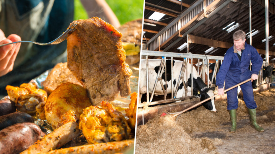 Da nam živi, živi - poljoprivreda!