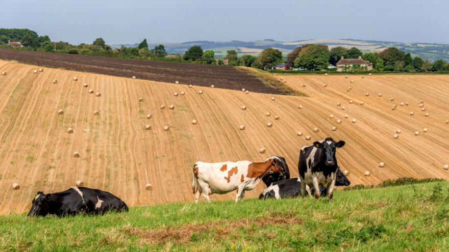 TOP 5: Koje EU zemlje su najjače u poljoprivrednoj proizvodnji?