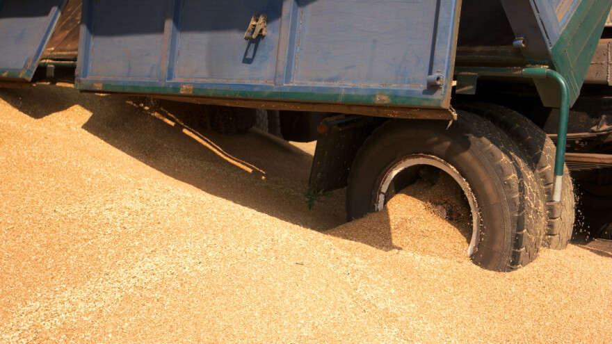 Što se događa s izvozom žitarica iz Ukrajine i kako to utječe na cijene?