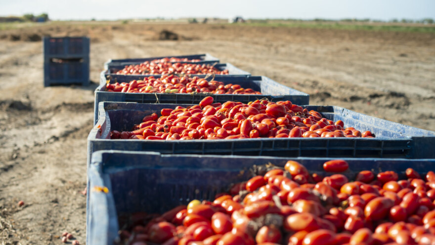 EU trgovina poljoprivrednim proizvodima više nego udvostručena unazad 20 godina
