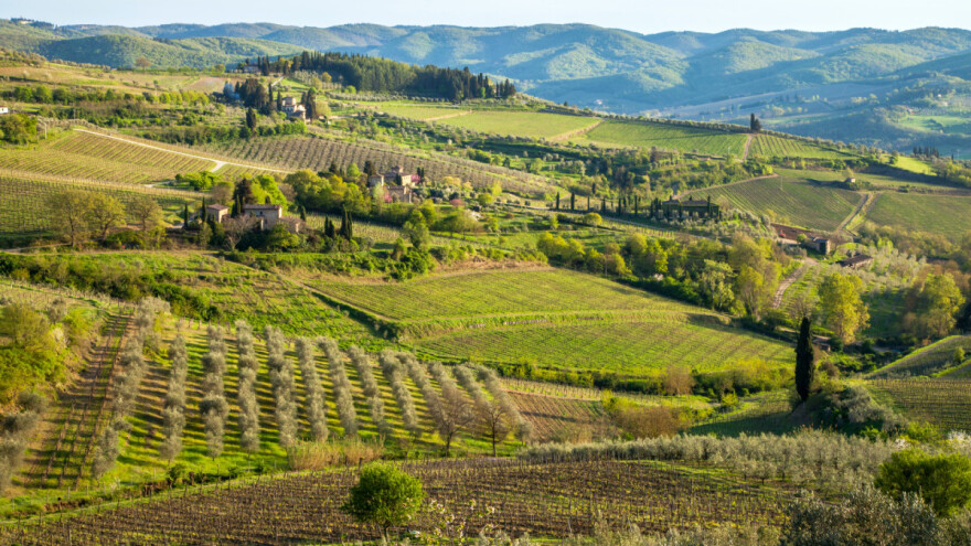 Muža krava, berba lavande i kampovanje - novine seoskog turizma