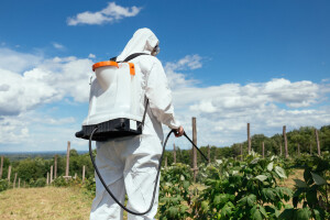 Uskratili informacije o utjecaju toksičnosti pesticida na mozak?