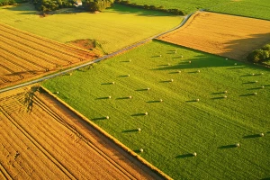 EU: Uredba o plodoredu bi mogla da bude ukinuta?