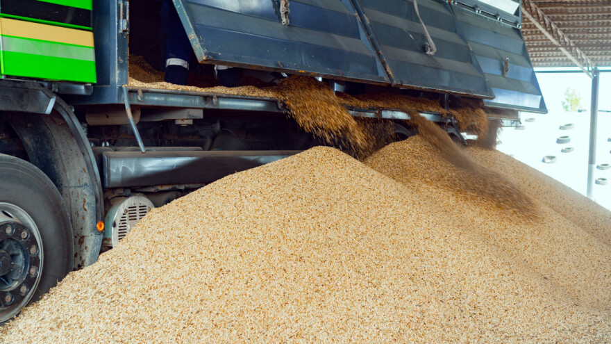 Cijene žitarica osciliraju - pšenica 330 eura po toni