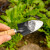 Soda bikarbona: Gdje se sve može koristiti u uzgoju bilja?