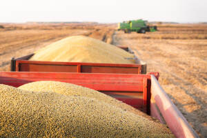 EU ovisi o uvozu biljnih proteina - države članice traže strategiju uzgoja