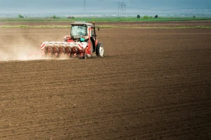 Visoke cene uljane repice dovele do rekorda u zasejanim površinama