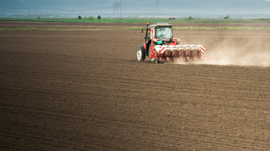 Ne srljajte sa sjetvom uljane repice - čekajte do iza sredine rujna