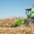 Najslabija žetva kukuruza u Francuskoj - cijene na berzama osciliraju