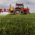 Upotreba herbicida u ozimim usjevima zavisi od temperature vazduha