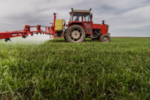 Upotreba herbicida u ozimim usjevima ovisi o temperaturi zraka