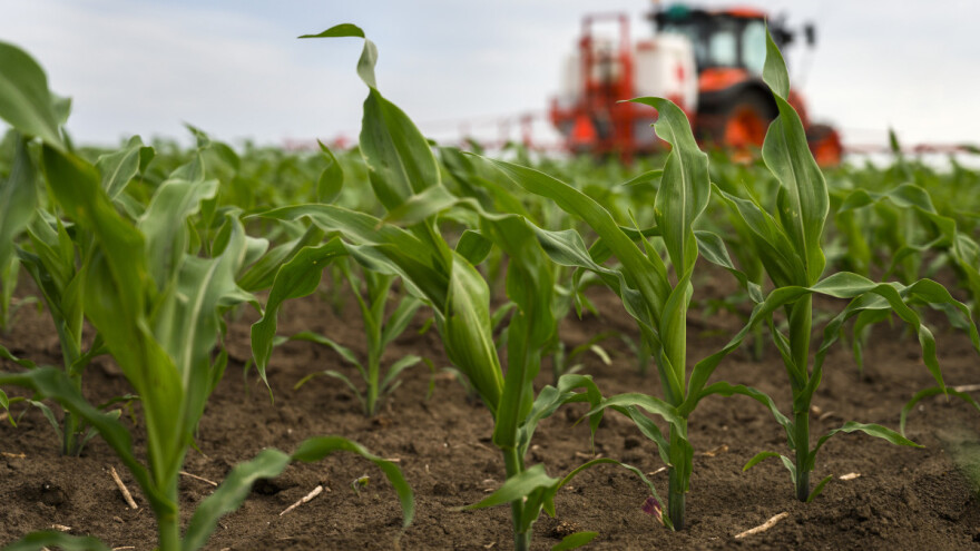 Raste proizvodnja gnojiva na bazi mikroba i morskih algi
