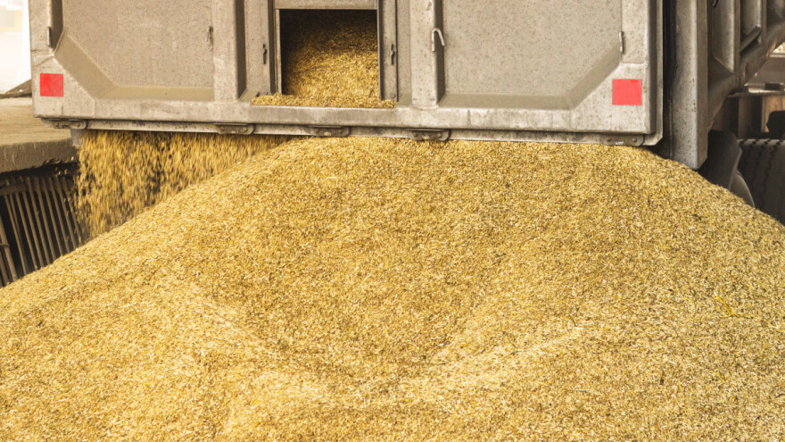 Europska unija će zabraniti uvoz poljoprivrednih proizvoda iz Rusije?