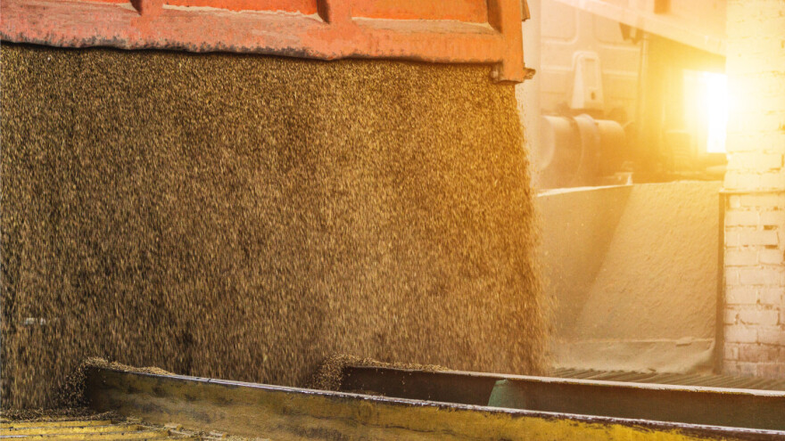 U kom smeru idu cene žitarica i uljarica? Pšenica dostigla najviši nivo u tri meseca