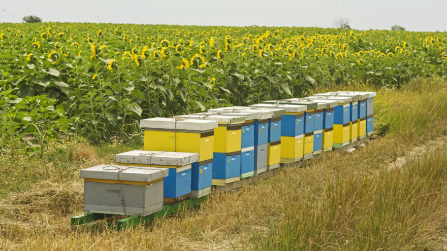 Glifosat u medu - poljoprivrednik pčelaru mora platiti odštetu
