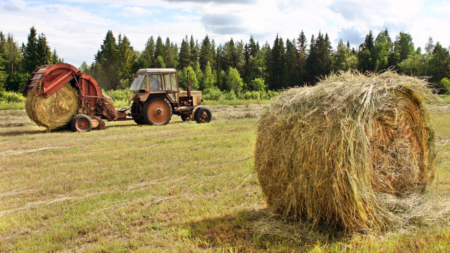 Visoka vlažnost sena, veći rizik od samozapaljenja