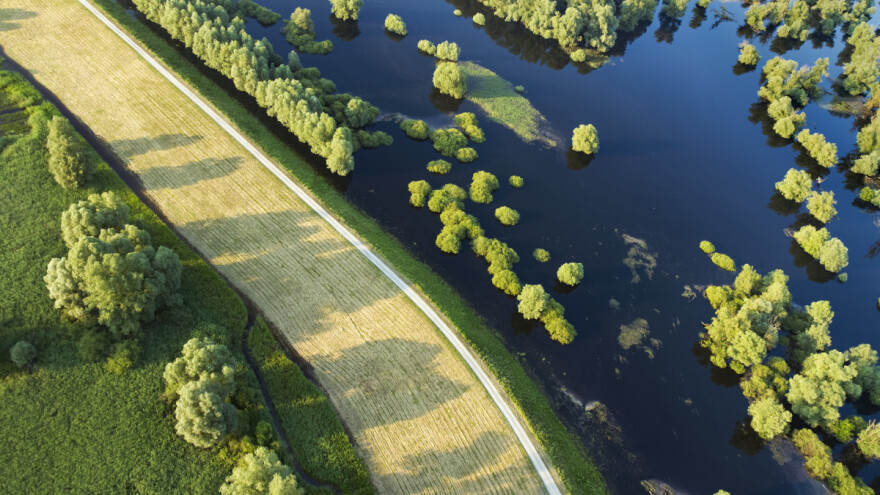 Kemijska zaštita bilja bit će zabranjena u Natura 2000 područjima: Upitna proizvodnja žitarica?