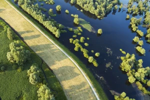 Zaštita bilja biće zabranjena u Natura 2000 područjima: Upitna proizvodnja žitarica?