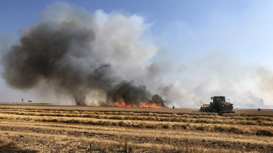 Gore mađarska polja - zrelim žitaricama prijete požari