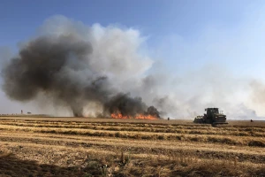 Gore mađarska polja - zrelom žitu prijete požari