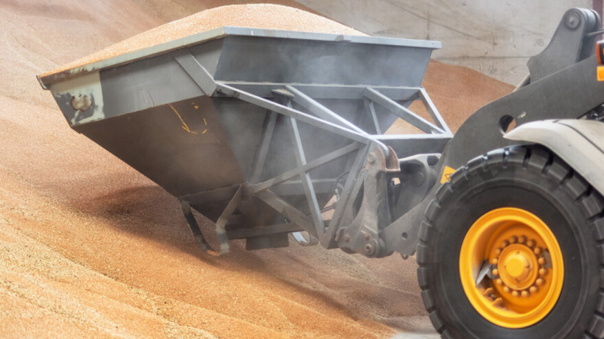 Cene hrane u svetu nastavljaju da padaju, koji je glavni razlog?