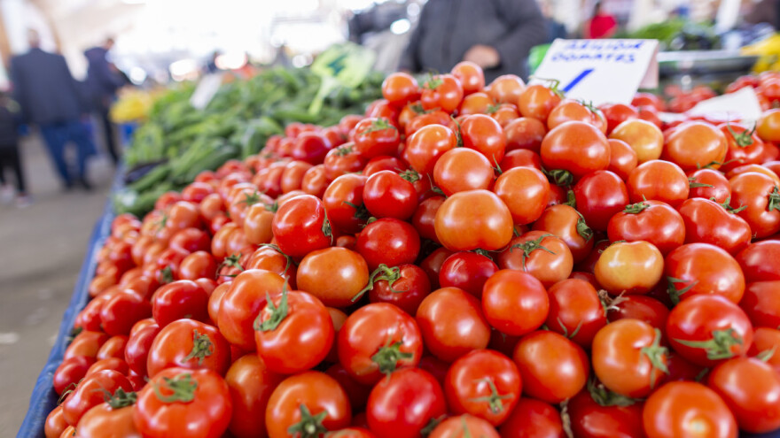 Turski izvoz poljoprivredne robe u oktobru dostigao rekord svih vremena