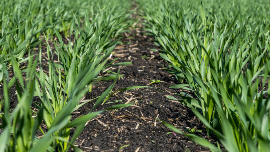 Samo 9,1 odsto ukupnih poljoprivrednih površina EU koristi se za organski uzgoj