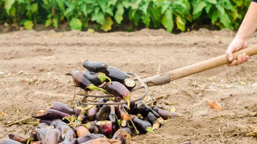 Pa tko još baca hranu u današnje vrijeme?