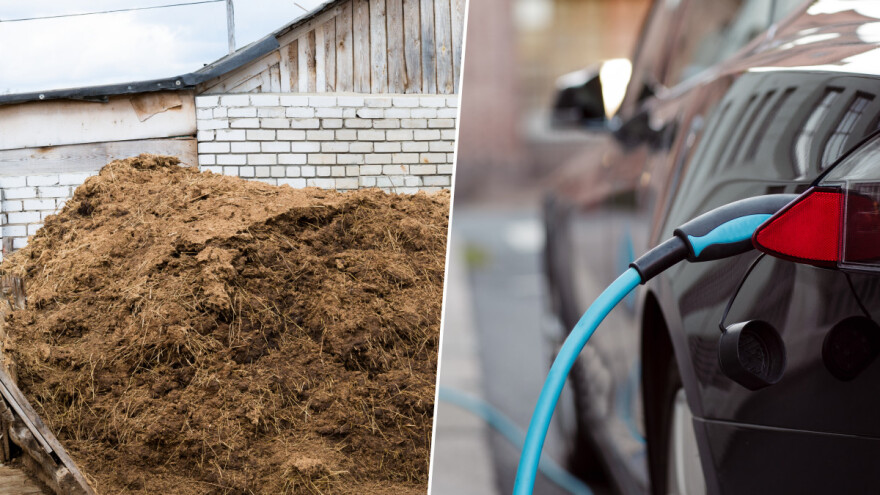 Gnojivo kao gorivo: Kravlja balega pokreće električna vozila