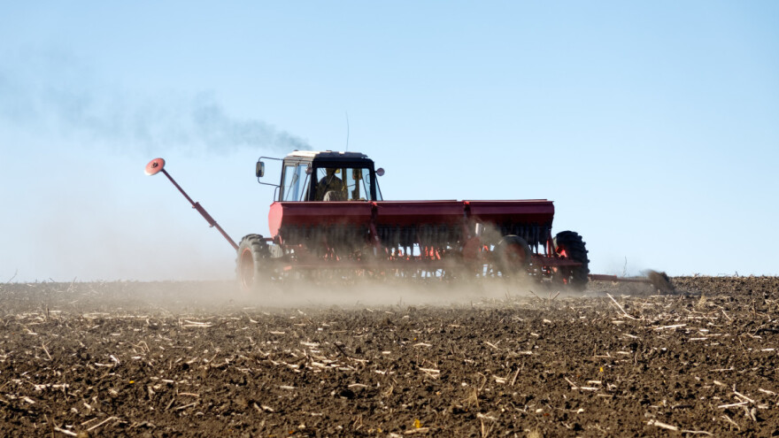 Kako odrediti količinu sjemena pšenice i drugih strnina za sjetvu?