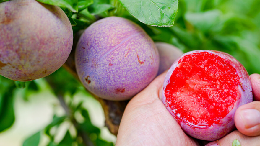 Šta su Aprium i Pluot? Kakav im je okus?