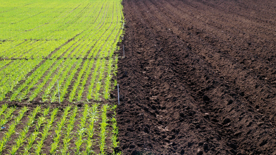 Kojih je šest koraka do plodnog zemljišta?