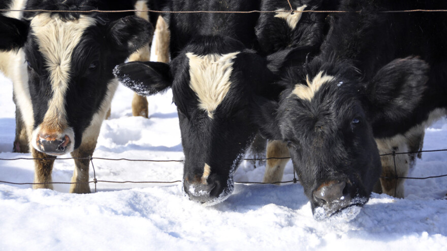 Stiže nam još snijega ove sedmice - gdje će padati?