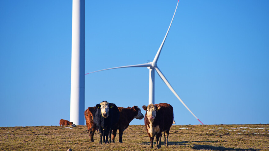 Ulagači u poljoprivredu i proizvodnju hrane izgubiće 150 mlrd. dolara do 2030.?