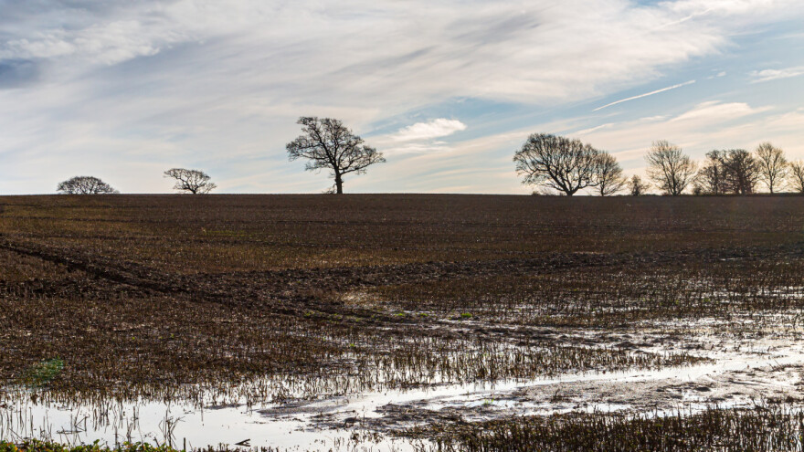 Dugoročna prognoza: Čeka nas zima bez snijega, ali s mogućim poplavama?