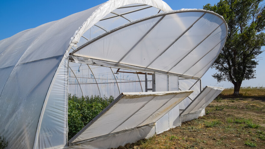 Pregrijavanje biljaka: Kako rashladiti plastenik?