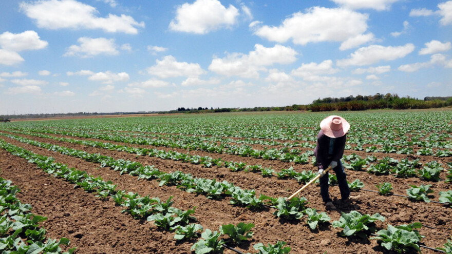Ko u Evropi ima najviše, a ko najmanje površina pod organskom poljoprivredom?