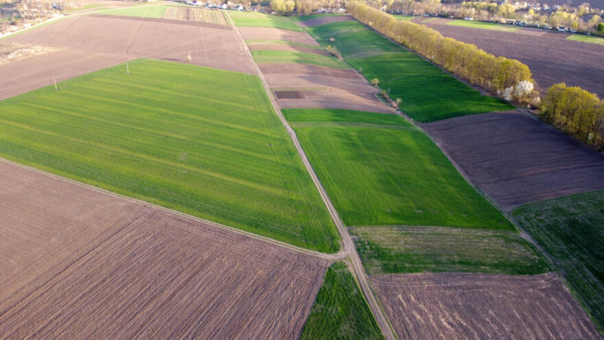 Dugoročna prognoza: Stiže sušno proljeće s manje padalina?