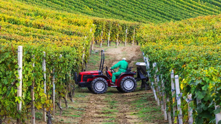 Vinarski sektor u EU dobija velike subvencije, a ne čini ništa za životnu sredinu