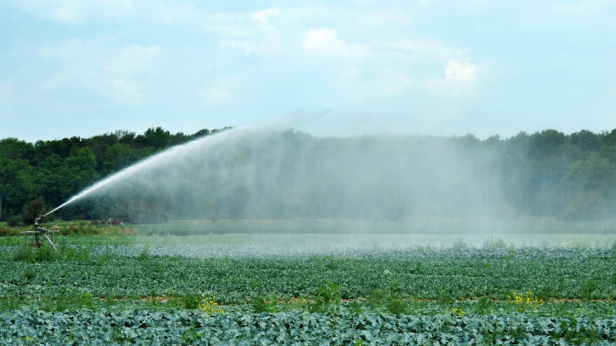 Ponovna upotreba vode: EU ima nova pravila za navodnjavanje