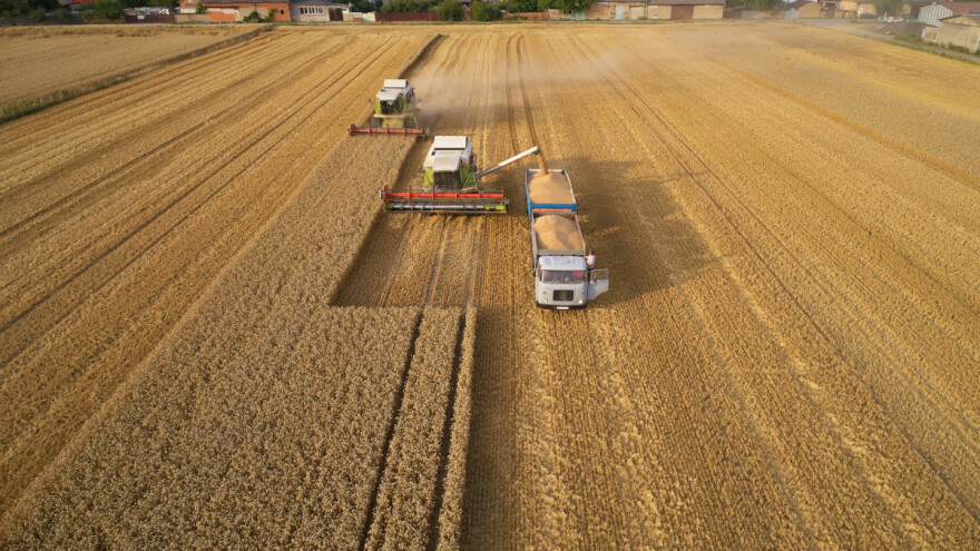 Svjetska proizvodnja žitarica će dostići rekordne prinose?