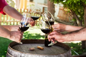 U Irskoj će sva alkoholna pića imati upozorenje o raku - čega se plaše EU vinari?