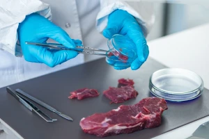 Evropska komisija izdvaja dva miliona evra za sintetičko meso