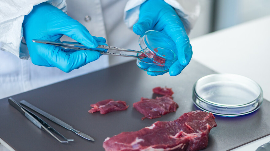 Evropska komisija izdvaja dva miliona evra za sintetičko meso
